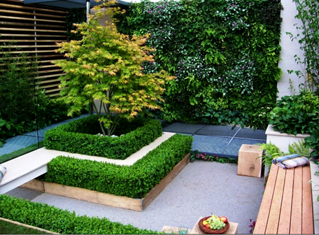 19 desain taman depan rumah sempit minimalis | rumah impian