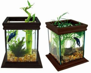 15 Desain Contoh Model Aquarium Minimalis1