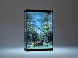 15 Desain Contoh Model Aquarium Minimalis11