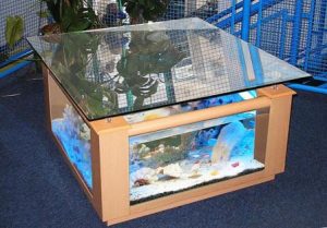 15 Desain Contoh Model Aquarium Minimalis12