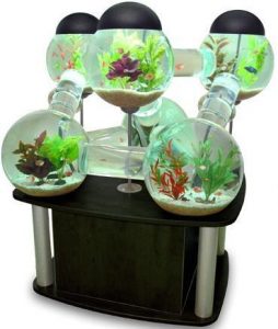 15 Desain Contoh Model Aquarium Minimalis15